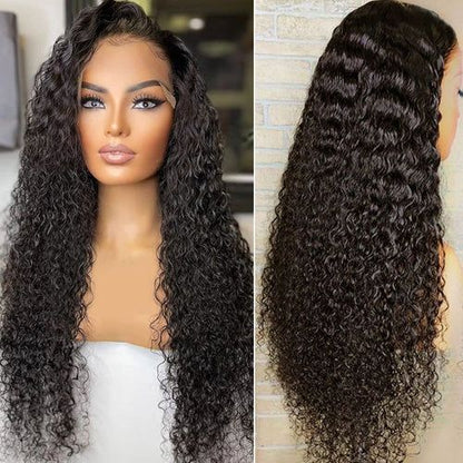 OneMore Flash Sale 55% Off Curly Hair Human Hair Wigs Real Human Hair Wigs for Women Pre Plucked