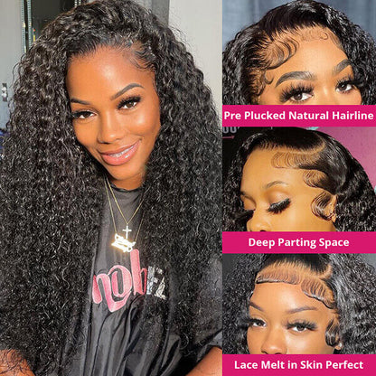 Glueless Human Hair Wigs Curly Hair Wig Pre Plucked Lace Front Wigs For Women